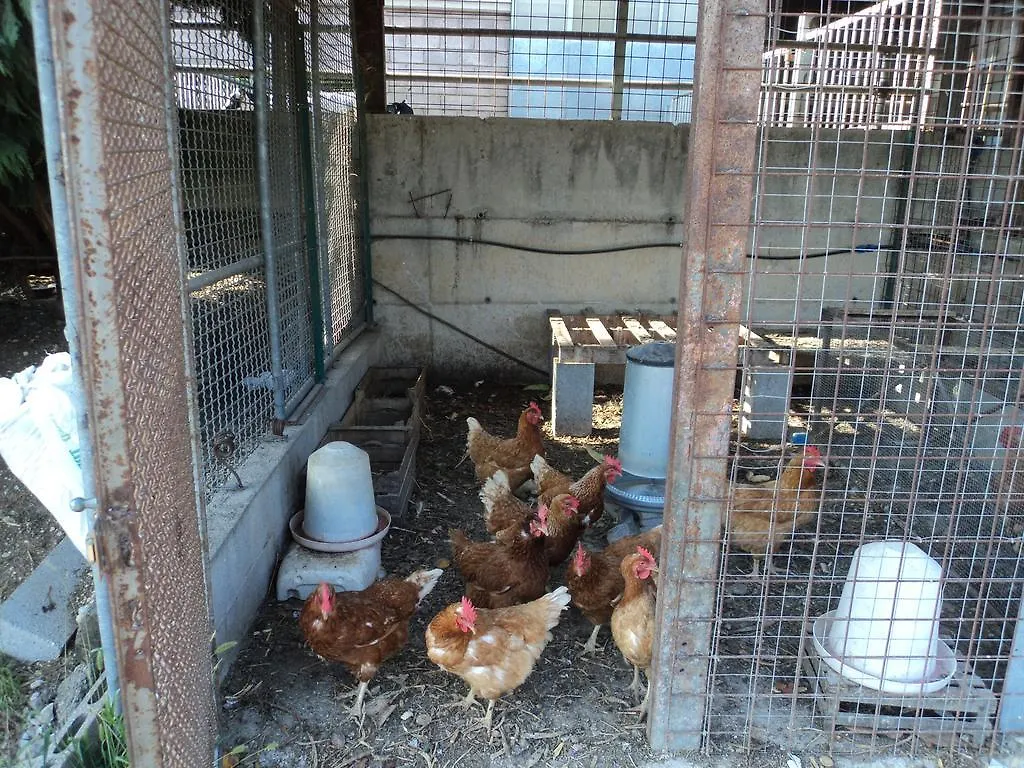 Vakantieboerderij Agriturismo Corte Dei Fiori Caprino Veronese Italië